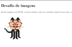 Imagem do desafio 002